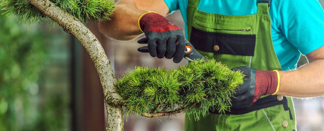 Nanoempreendedor: entenda a nova categoria criada pela reforma tributária