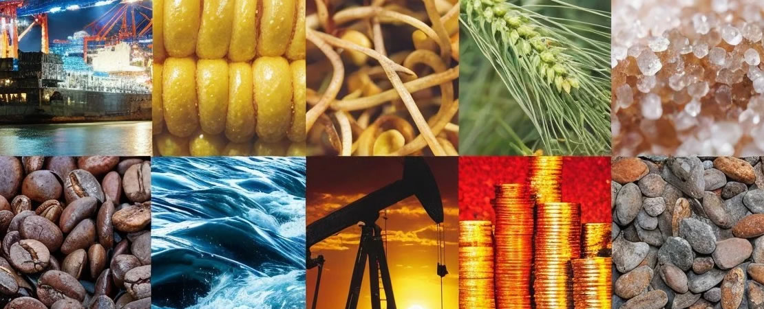 Você sabe o que são commodities?